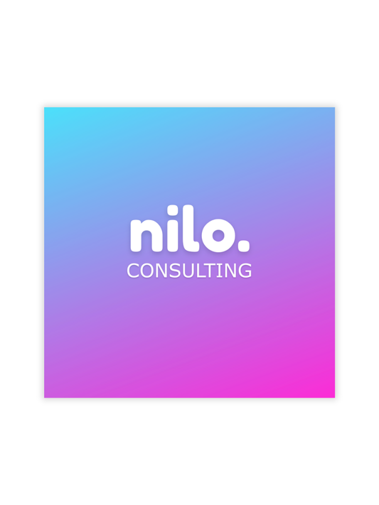 Nilo Consulting Call
