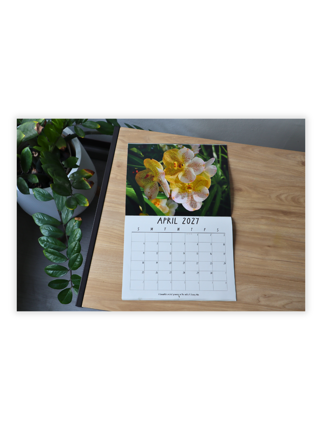 Chiang Mai Photography 2027 Wall Calendar