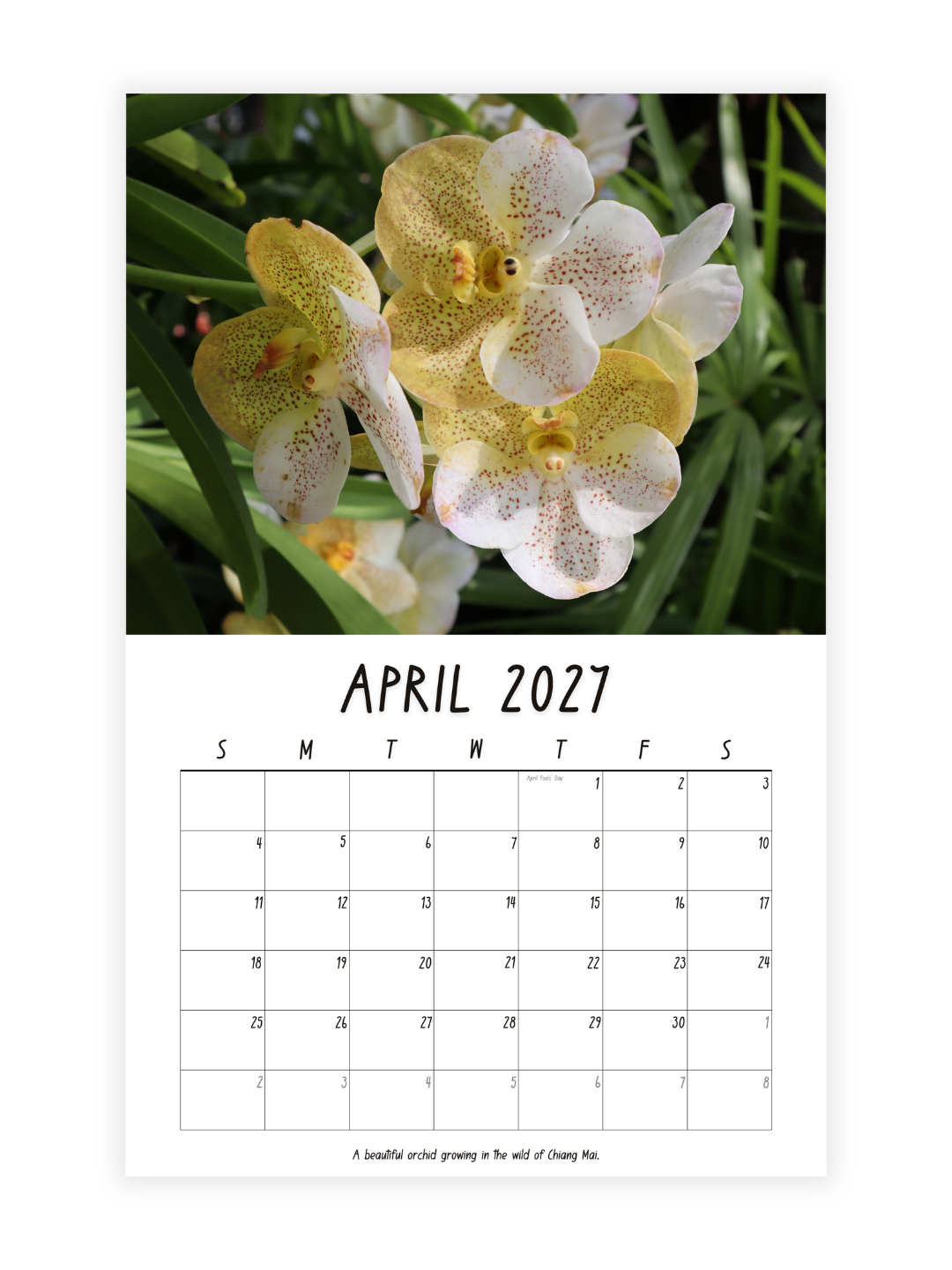 Chiang Mai Photography 2027 Wall Calendar