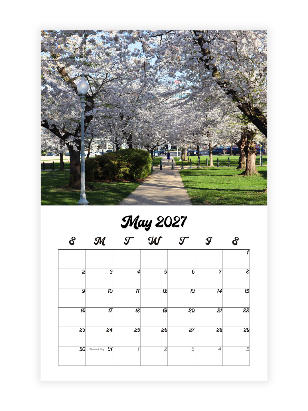 Washington D.C. Cherry Blossoms Photography 2027 Wall Calendar