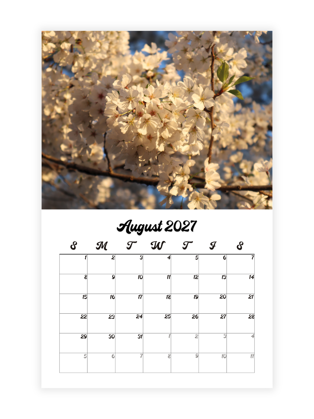 Washington D.C. Cherry Blossoms Photography 2027 Wall Calendar