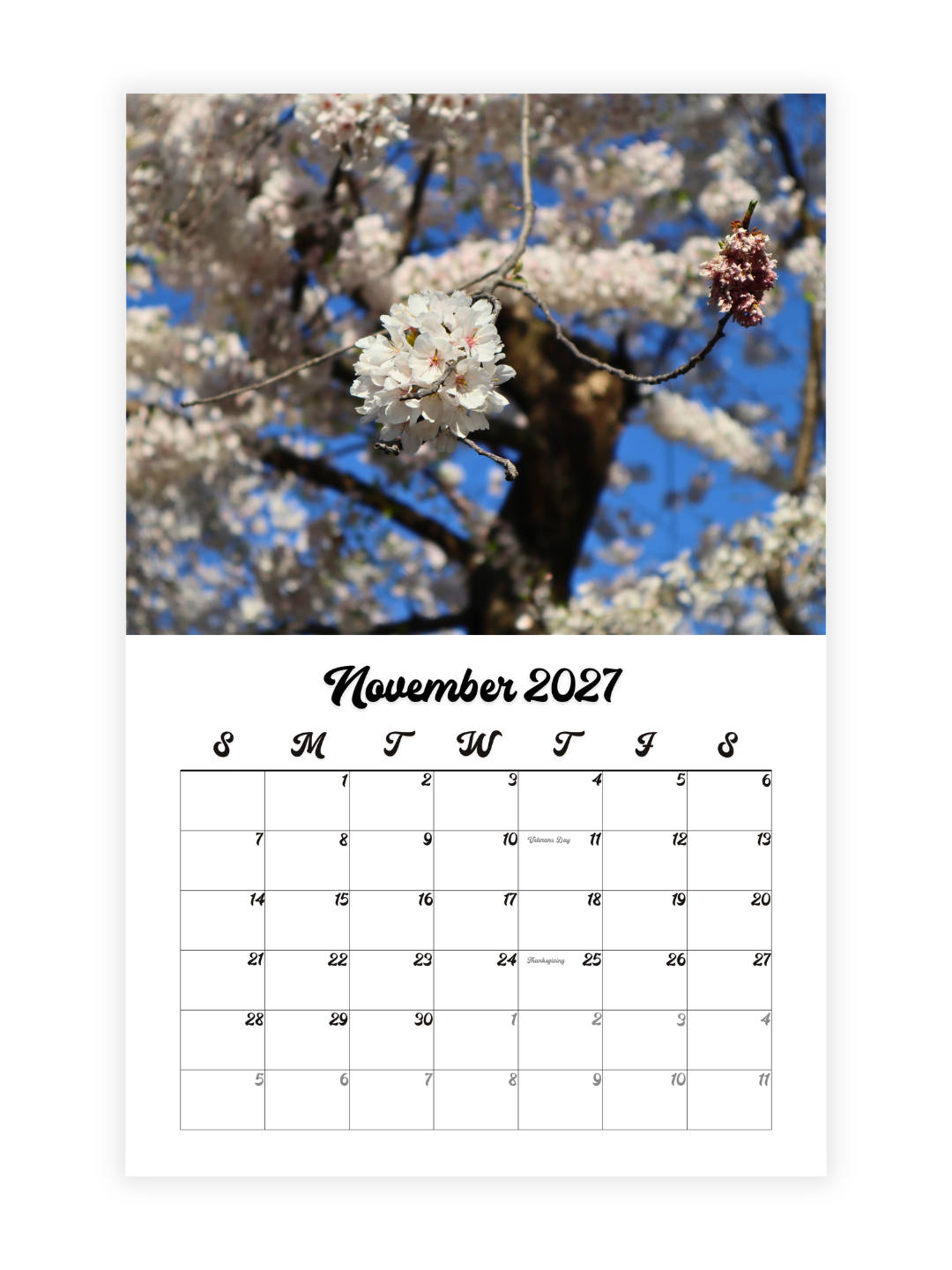 Washington D.C. Cherry Blossoms Photography 2027 Wall Calendar