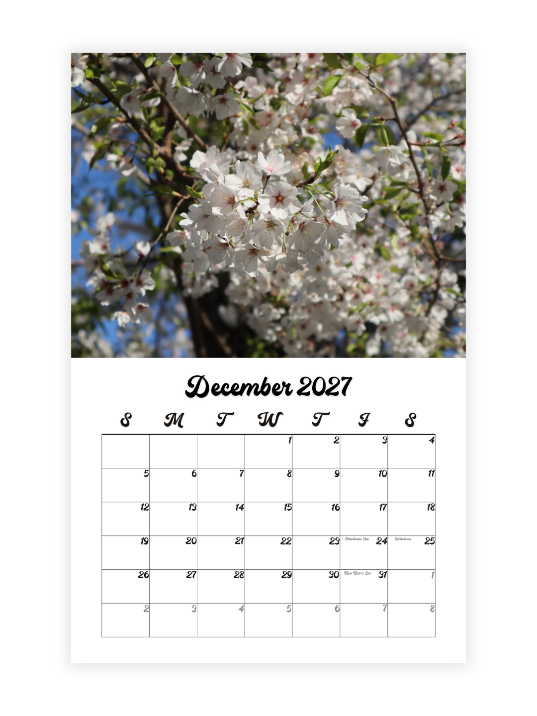 Washington D.C. Cherry Blossoms Photography 2027 Wall Calendar