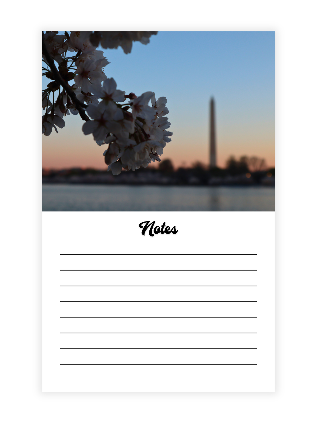 Washington D.C. Cherry Blossoms Photography 2027 Wall Calendar